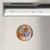 Siberische Tijger Magneet (Insitu (Vaatwasser))