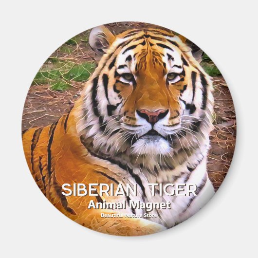Siberische Tijger Magneet (Voorkant)
