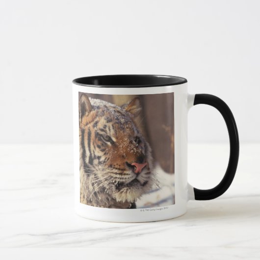 Siberische tijger mok (Rechts)