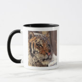 Siberische tijger mok (Links)