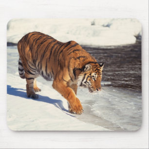Siberische tijger muismat