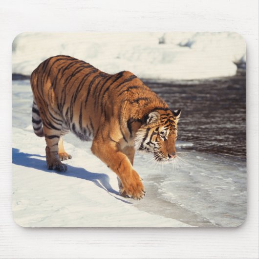 Siberische tijger muismat (Voorkant)