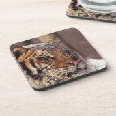 Siberische tijger onderzetter (Linkerzijde)