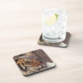 Siberische tijger onderzetter (Rechterzijde)