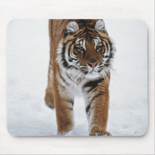 Siberische tijger op sneeuw muismat