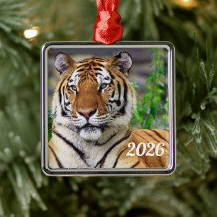 Siberische Tijger Ornament
