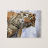 Siberische tijger, Panthera tigris altaica, Azië; Legpuzzel (Horizontaal)