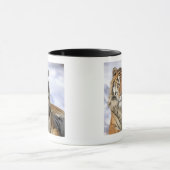 Siberische tijger, Panthera tigris altaica, Azië Mok (Midden)