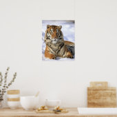 Siberische tijger, Panthera tigris altaica, Azië; Poster (Keuken)