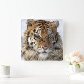 Siberische tijger, Panthera tigris altaica, Azië Vierkante Klok (Huis)