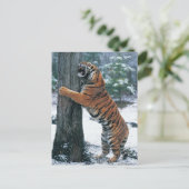 Siberische tijger (Panthera tigris altaica) Briefkaart (Staand voorkant)