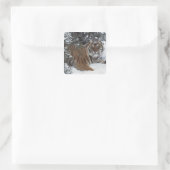 Siberische tijger (Panthera Tigris Altaica) Vierkante Sticker (Tas)