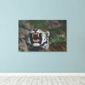 Siberische tijger (Panthera Tigris) Bares Fangs Canvas Afdruk (Insitu (Houten vloer))