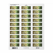 Siberische tijger retour adres label (Full Sheet)