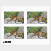 Siberische Tijger Rustend op een Rots Rechthoekige Sticker (Vel)