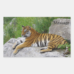 Siberische Tijger Rustend op een Rots Rechthoekige Sticker