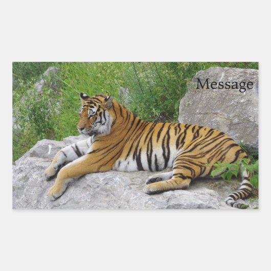 Siberische Tijger Rustend op een Rots Rechthoekige Sticker (Voorkant)