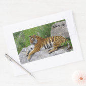 Siberische Tijger Rustend op een Rots Rechthoekige Sticker (Envelop)