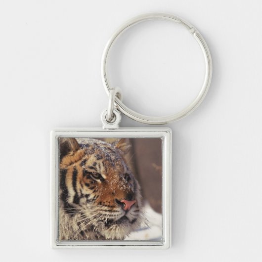 Siberische tijger sleutelhanger (Voorkant)