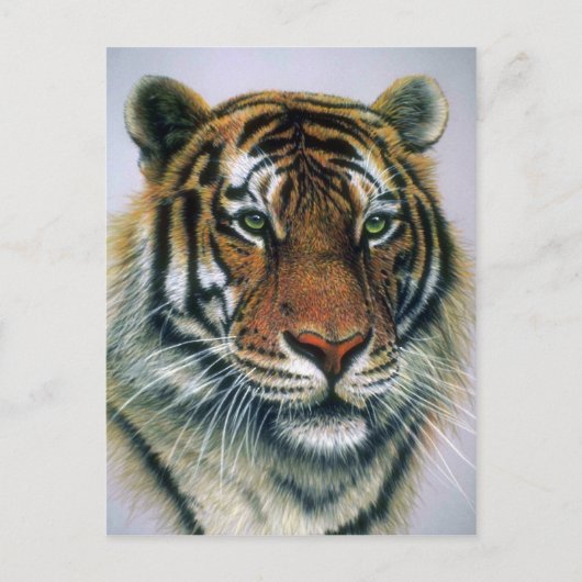 Siberische tijgerkop briefkaart (Voorkant)