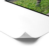 Siberische tijgerposter poster (Hoek)