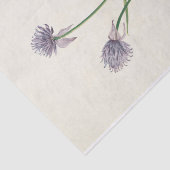 Siberische uien door Mary Vaux Walcott Tissuepapier (Detail)