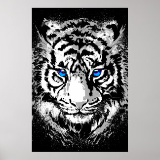 Siberische Witte Tijger Kop - Tijger Poster Blauwe