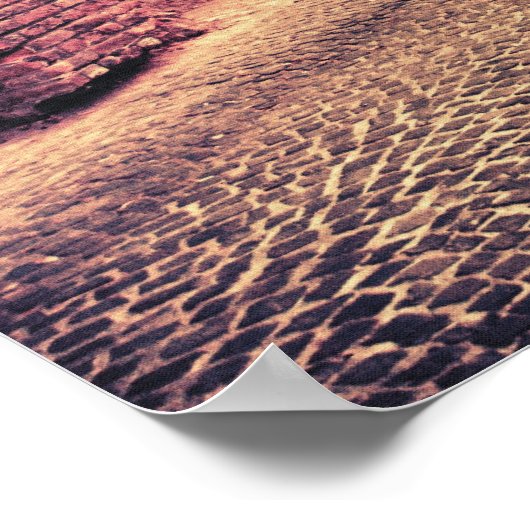 Sibiu middeleeuwse architectuur poster (Hoek)