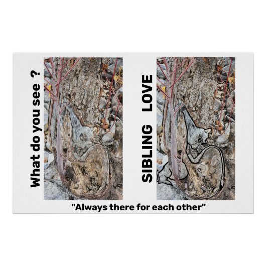 Sibling Love Poster (Voorkant)