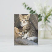 Siblings Briefkaart (Staand voorkant)