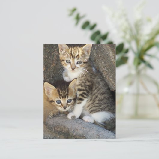 Siblings Briefkaart (Staand voorkant)