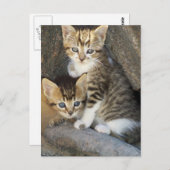 Siblings Briefkaart (Voorkant / Achterkant)