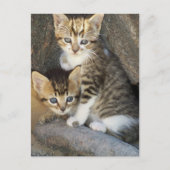 Siblings Briefkaart (Voorkant)