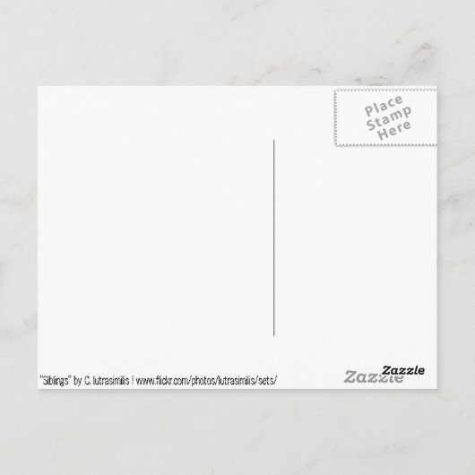 Siblings Briefkaart (Achterkant)