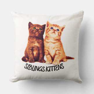 Siblings kittens, twee schattige katten kussen