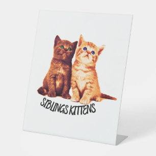 Siblings kittens, twee schattige katten reclamebord met voetstuk