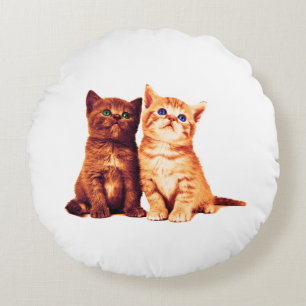Siblings kittens, twee schattige katten rond kussen