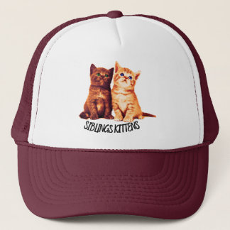 Siblings kittens, twee schattige katten trucker pet
