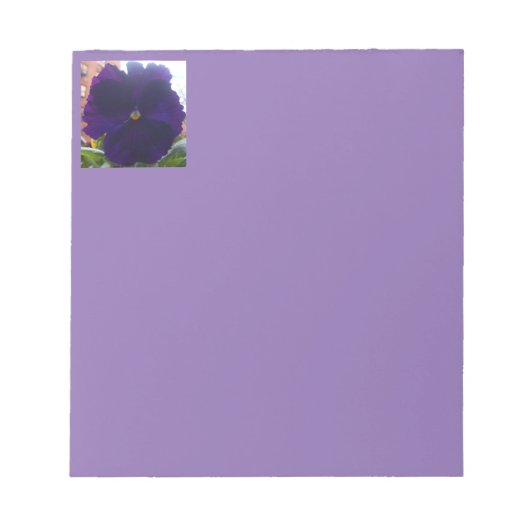 Sibylla Notitieblok (Voorkant)