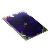 Sibylla Notitieboek (Rechterzijde)