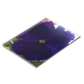 Sibylla Notitieboek (Linkerzijde)