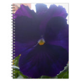 Sibylla Notitieboek (Voorkant)