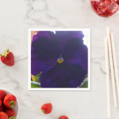 Sibylla Servetten (Insitu)