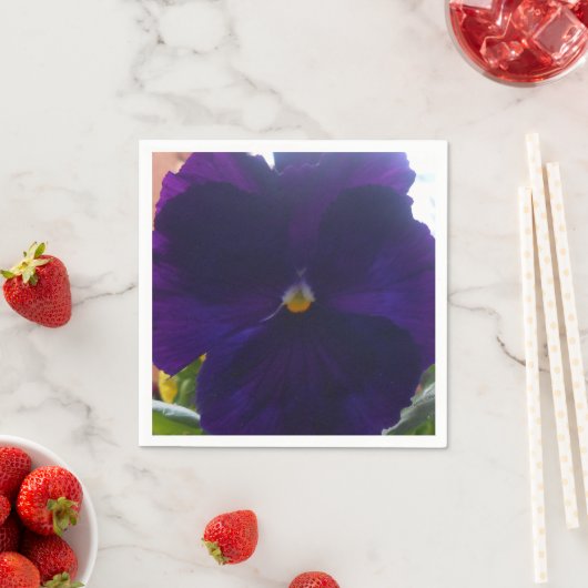 Sibylla Servetten (Insitu)