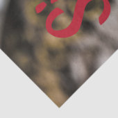 Sichuan Pepper Chinese cuisine Tissuepapier (Detail)