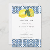 Siciliaanse blauwleeuwen in de Middellandse Zee sp Aankondiging (Voorkant)