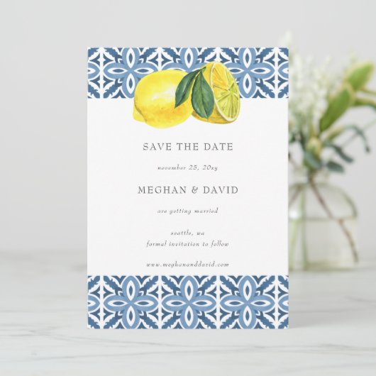 Siciliaanse blauwleeuwen in de Middellandse Zee sp Aankondiging (Staand voorkant)