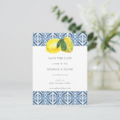 Siciliaanse blauwleeuwen in de Middellandse Zee sp Aankondigingskaart (Staand voorkant)