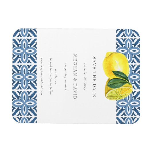 Siciliaanse blauwleeuwen in de Middellandse Zee sp Magneet (Horizontaal)