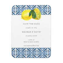 Siciliaanse blauwleeuwen in de Middellandse Zee sp